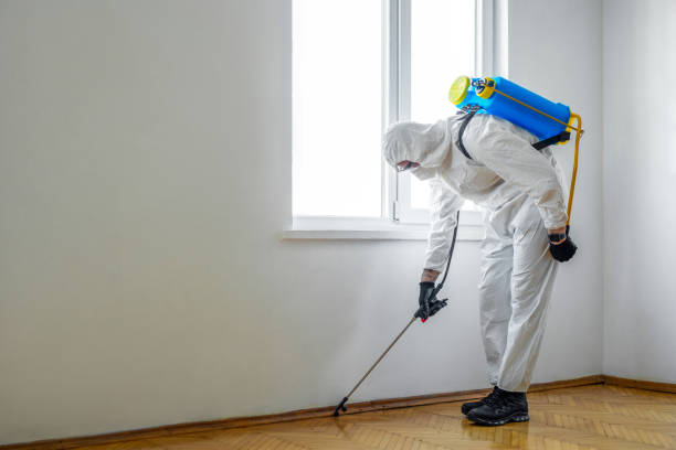 Best Pest Control for Multi-Family Homes  in Tryon, NC